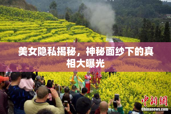 美女隐私揭秘，神秘面纱下的真相大曝光