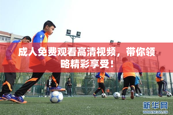 成人免费观看高清视频，带你领略精彩享受！