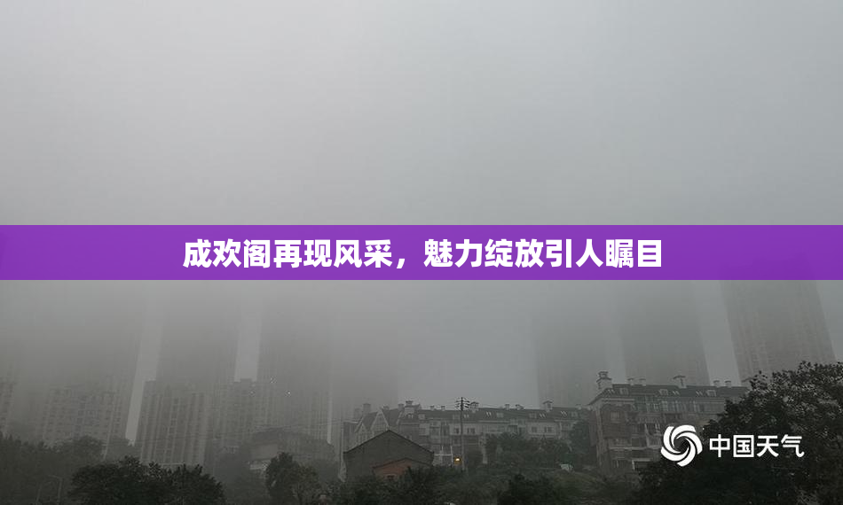 成欢阁再现风采，魅力绽放引人瞩目
