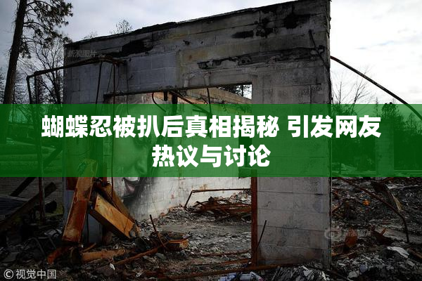 蝴蝶忍被扒后真相揭秘 引发网友热议与讨论