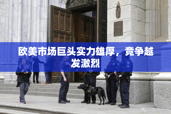 欧美市场巨头实力雄厚，竞争越发激烈