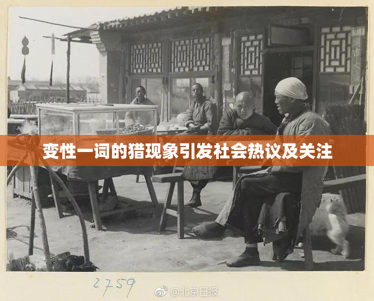 变性一词的猎现象引发社会热议及关注