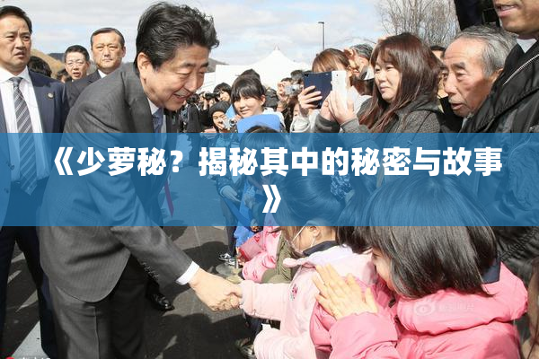 《少萝秘？揭秘其中的秘密与故事》