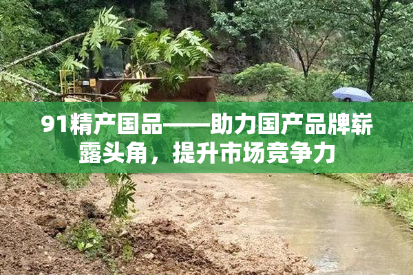 91精产国品——助力国产品牌崭露头角，提升市场竞争力