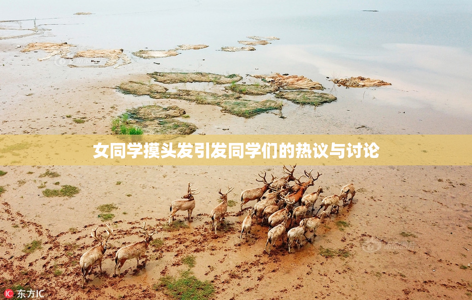女同学摸头发引发同学们的热议与讨论