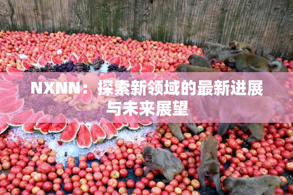 NXNN：探索新领域的最新进展与未来展望