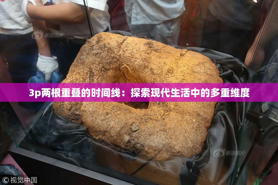3p两根重叠的时间线：探索现代生活中的多重维度