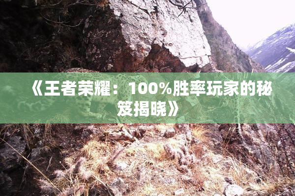 《王者荣耀：100%胜率玩家的秘笈揭晓》