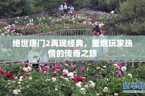 绝世唐门2再现经典，重燃玩家热情的传奇之旅