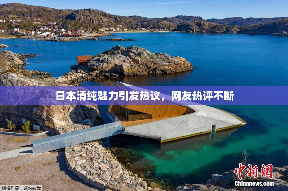 日本清纯魅力引发热议，网友热评不断