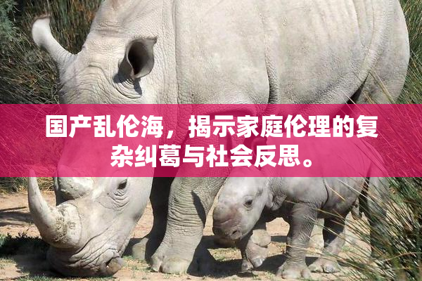 国产乱伦海，揭示家庭伦理的复杂纠葛与社会反思。