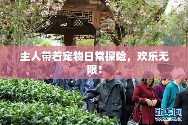 主人带着宠物日常探险，欢乐无限！