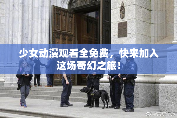 少女动漫观看全免费，快来加入这场奇幻之旅！