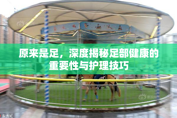原来是足，深度揭秘足部健康的重要性与护理技巧