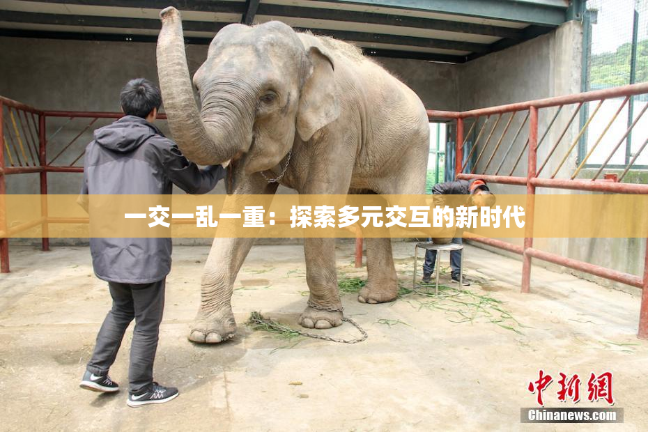 一交一乱一重：探索多元交互的新时代