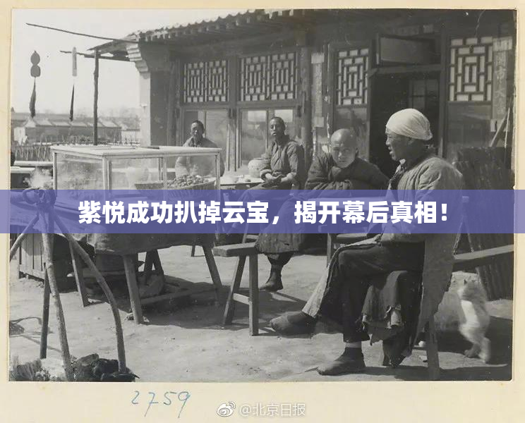 紫悦成功扒掉云宝，揭开幕后真相！