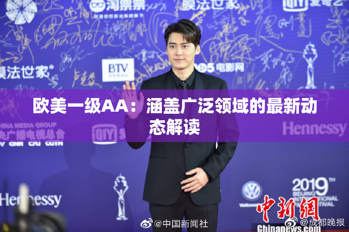 欧美一级AA：涵盖广泛领域的最新动态解读