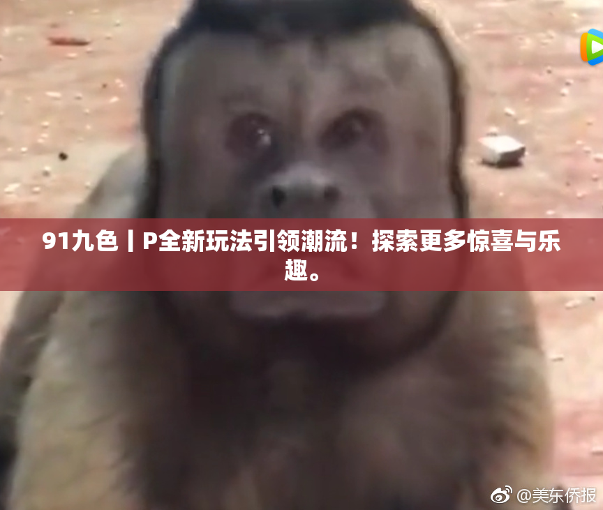 91九色丨P全新玩法引领潮流！探索更多惊喜与乐趣。