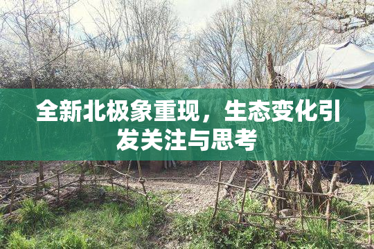 全新北极象重现，生态变化引发关注与思考