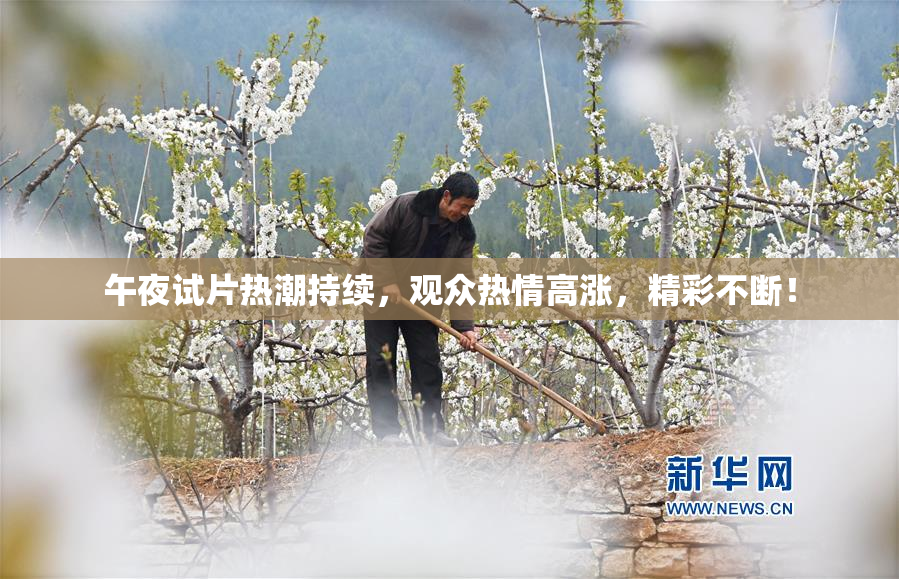 午夜试片热潮持续，观众热情高涨，精彩不断！