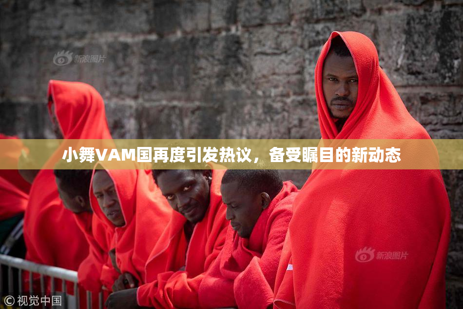 小舞VAM国再度引发热议，备受瞩目的新动态