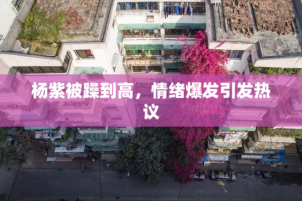 杨紫被躁到高，情绪爆发引发热议