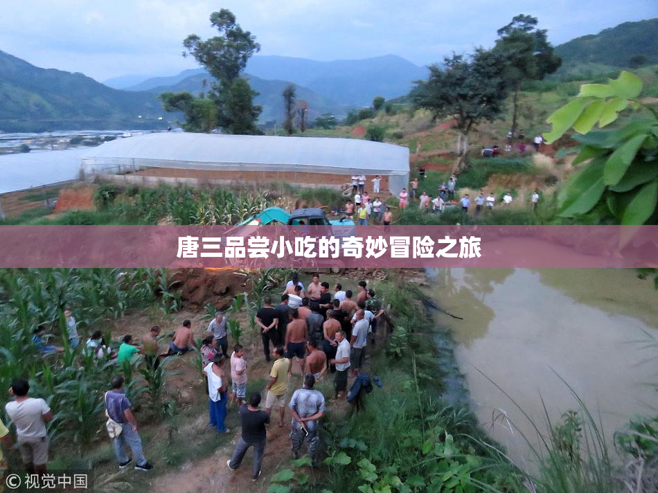唐三品尝小吃的奇妙冒险之旅