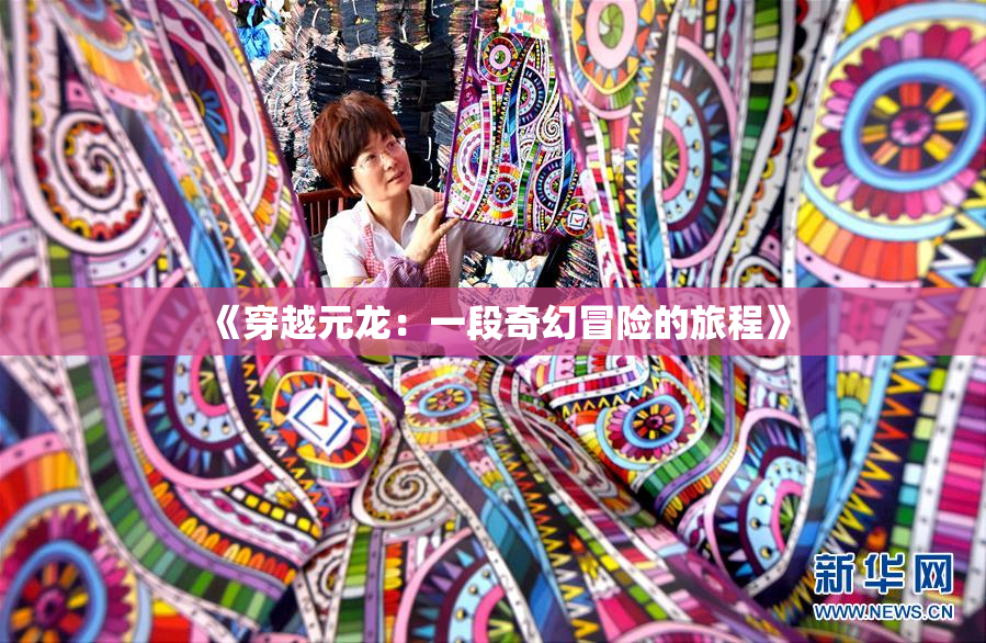 《穿越元龙：一段奇幻冒险的旅程》