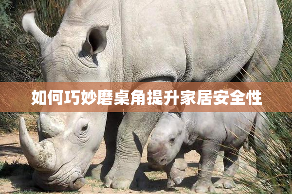 如何巧妙磨桌角提升家居安全性