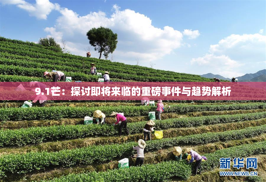 9.1芒：探讨即将来临的重磅事件与趋势解析