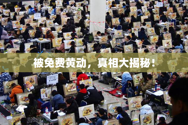 被免费黄动，真相大揭秘！