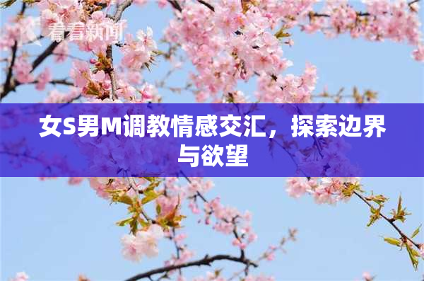 女S男M调教情感交汇，探索边界与欲望