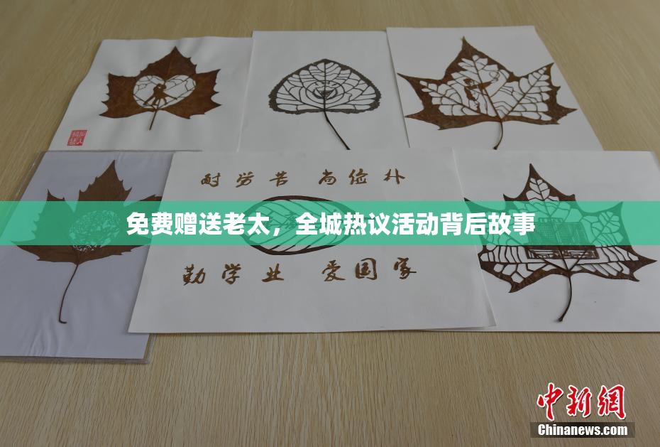 免费赠送老太，全城热议活动背后故事