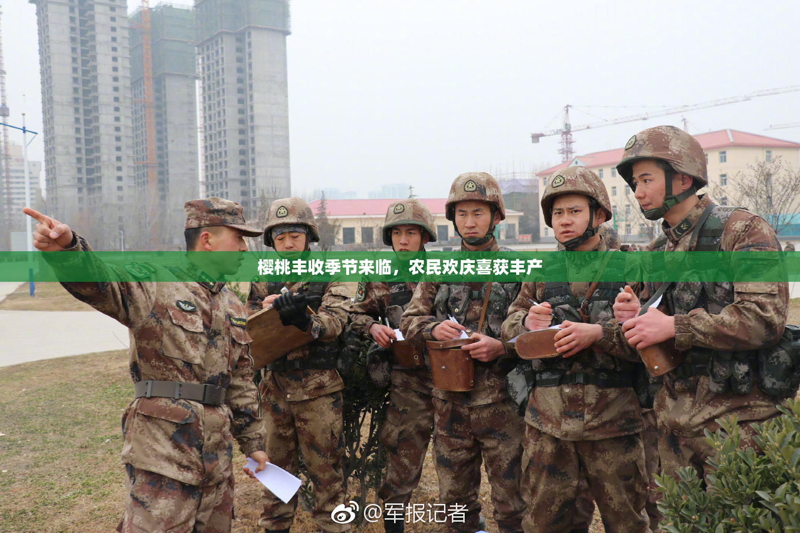 樱桃丰收季节来临，农民欢庆喜获丰产