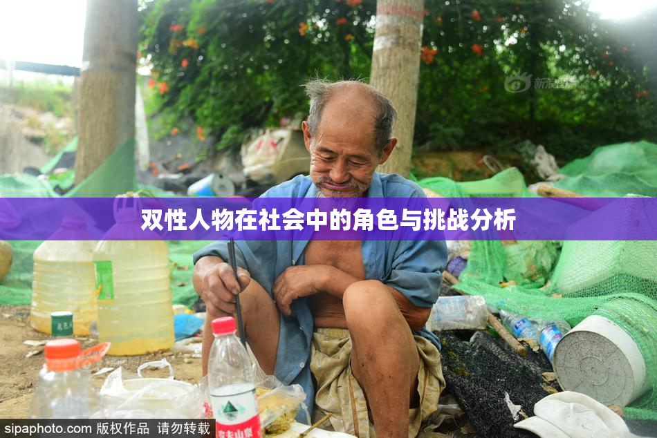 双性人物在社会中的角色与挑战分析