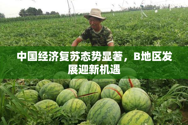 中国经济复苏态势显著，B地区发展迎新机遇