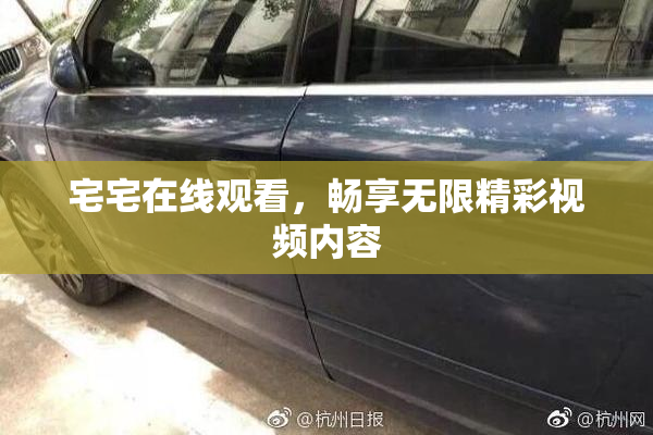 宅宅在线观看，畅享无限精彩视频内容