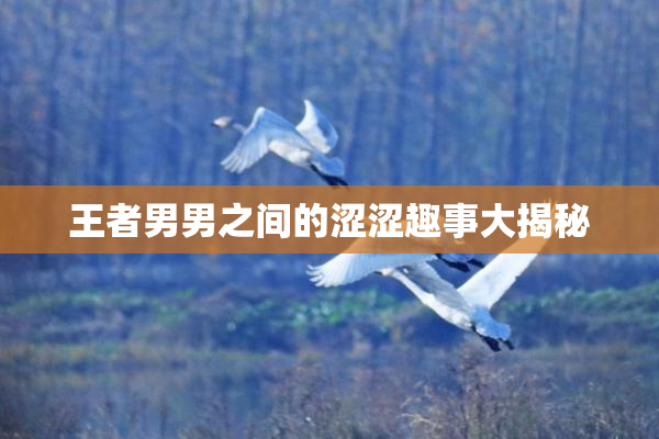 王者男男之间的涩涩趣事大揭秘