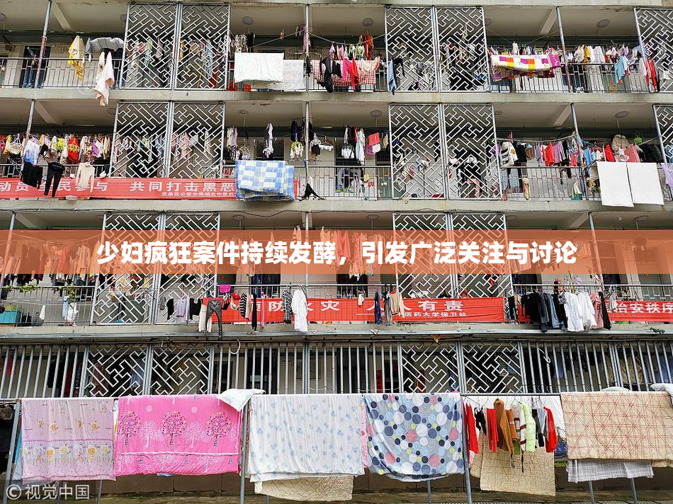 少妇疯狂案件持续发酵，引发广泛关注与讨论
