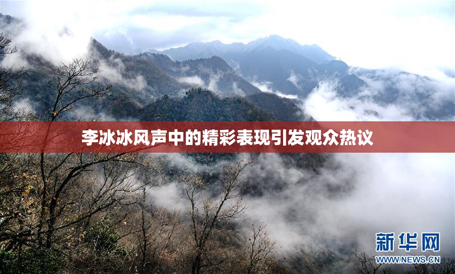 李冰冰风声中的精彩表现引发观众热议