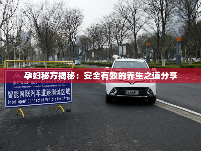 孕妇秘方揭秘：安全有效的养生之道分享