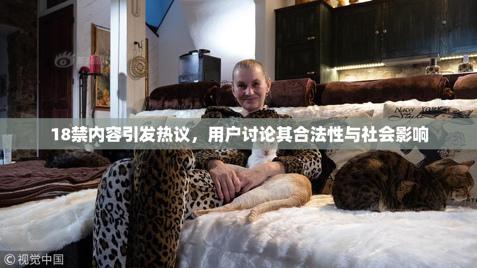 18禁内容引发热议，用户讨论其合法性与社会影响