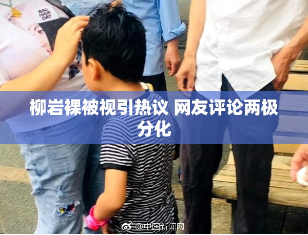 柳岩裸被视引热议 网友评论两极分化