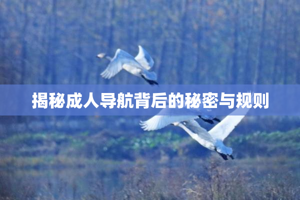 揭秘成人导航背后的秘密与规则