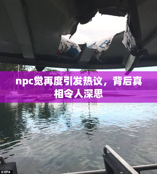 npc觉再度引发热议，背后真相令人深思