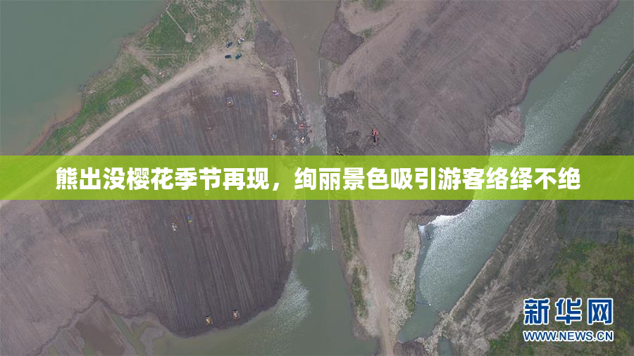 熊出没樱花季节再现，绚丽景色吸引游客络绎不绝