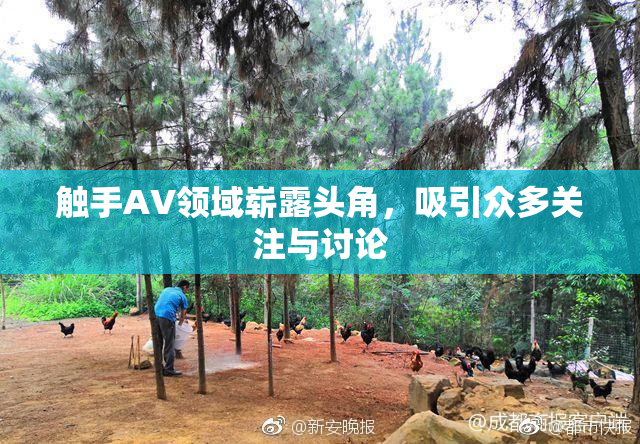 触手AV领域崭露头角，吸引众多关注与讨论