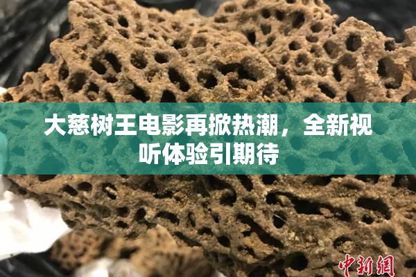 大慈树王电影再掀热潮，全新视听体验引期待