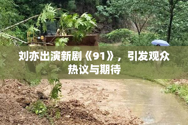 刘亦出演新剧《91》，引发观众热议与期待