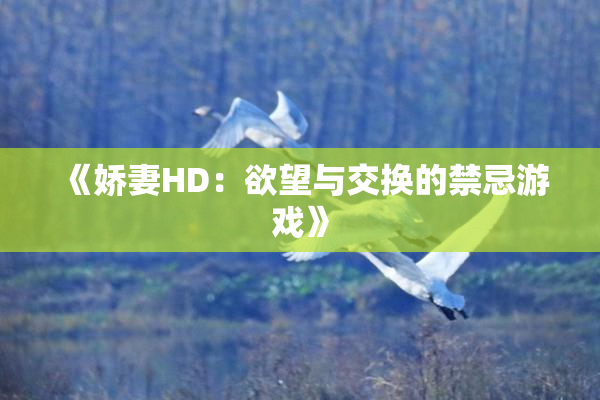 《娇妻HD：欲望与交换的禁忌游戏》